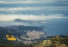 Les vins de Banyuls : des vins doux naturels du Roussillon