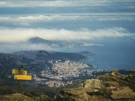 Les vins de Banyuls : des vins doux naturels du Roussillon