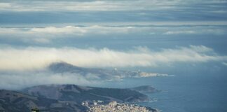 Les vins de Banyuls : des vins doux naturels du Roussillon