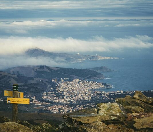 Les vins de Banyuls : des vins doux naturels du Roussillon