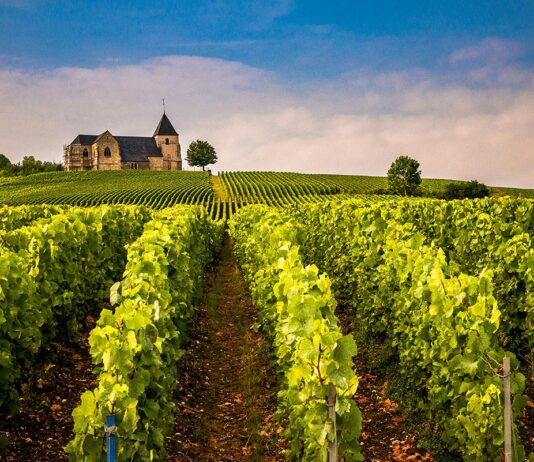 Les vins de Champagne : l'art de l’effervescence