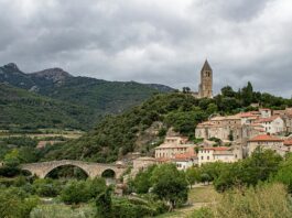 Les vins de Languedoc-Roussillon : des pépites à explorer