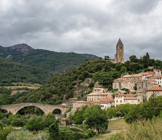 Les vins de Languedoc-Roussillon : des pépites à explorer