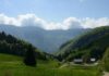 Les vins du Jura : des vins originaux et typiques