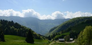 Les vins du Jura : des vins originaux et typiques