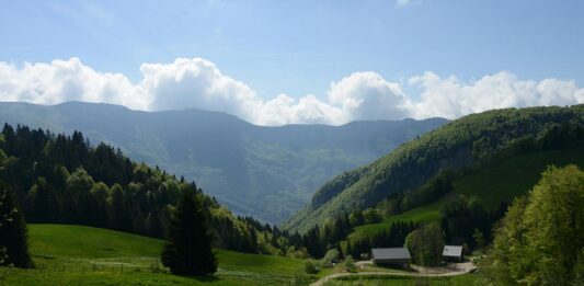 Les vins du Jura : des vins originaux et typiques