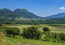 Les vins du Rhône : des rouges puissants et élégants