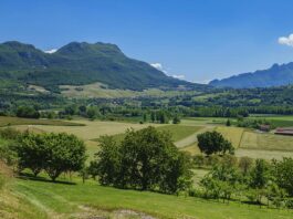 Les vins du Rhône : des rouges puissants et élégants