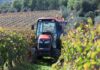 Les vins de Gaillac : des vins du Sud-Ouest à explorer