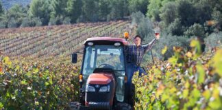 Les vins de Gaillac : des vins du Sud-Ouest à explorer