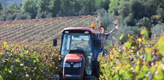 Les vins de Gaillac : des vins du Sud-Ouest à explorer