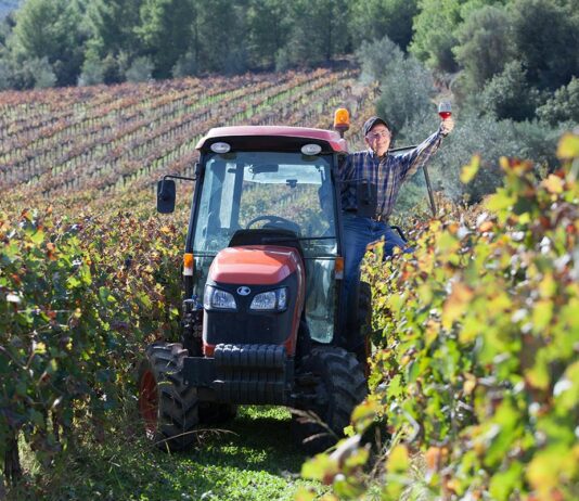 Les vins de Gaillac : des vins du Sud-Ouest à explorer