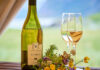 Les vins de Chablis : des Chardonnays d'exception