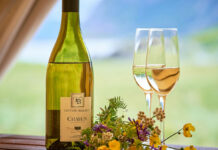 Les vins de Chablis : des Chardonnays d'exception