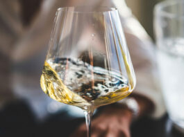 Les vins de Pouilly-Fumé : des blancs minéraux et élégants