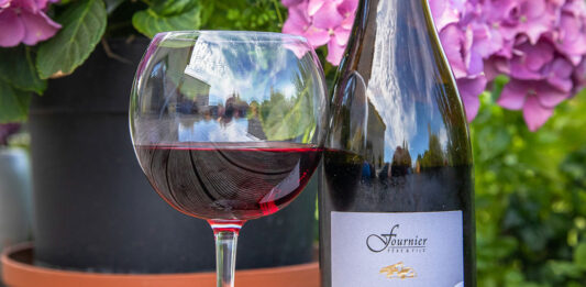 Les vins de Sancerre : des blancs d'exception