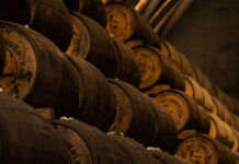 Le vin, c'est quoi ?