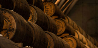 Le vin, c'est quoi ?