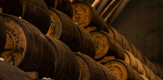 Le vin, c'est quoi ?