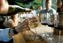 Chardonnay, Pinot noir et Syrah : les cépages stars de l’automne 2025