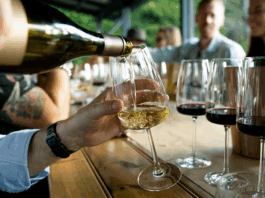 Chardonnay, Pinot noir et Syrah : les cépages stars de l’automne 2025