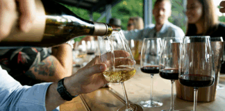 Chardonnay, Pinot noir et Syrah : les cépages stars de l’automne 2025