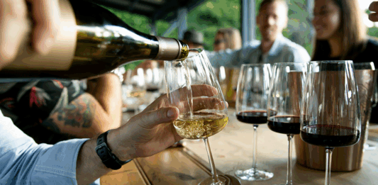 Chardonnay, Pinot noir et Syrah : les cépages stars de l’automne 2025