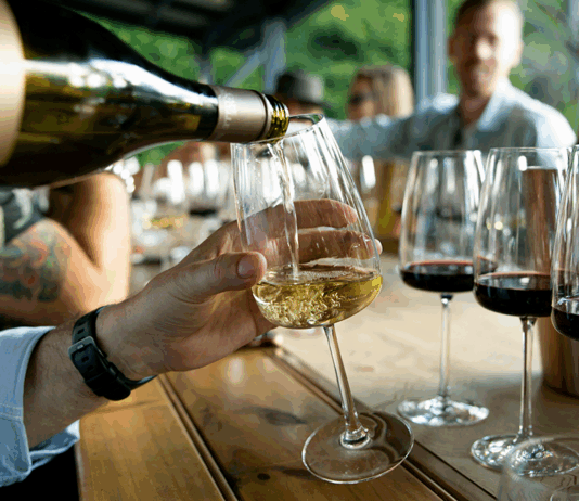 Chardonnay, Pinot noir et Syrah : les cépages stars de l’automne 2025