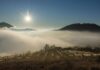 Climat et vigne : la météo extrême a-t-elle bouleversé les vendanges 2025