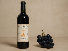 Dominique Hauvette, la vigneronne rebelle qui a fait entrer la Provence en biodynamie